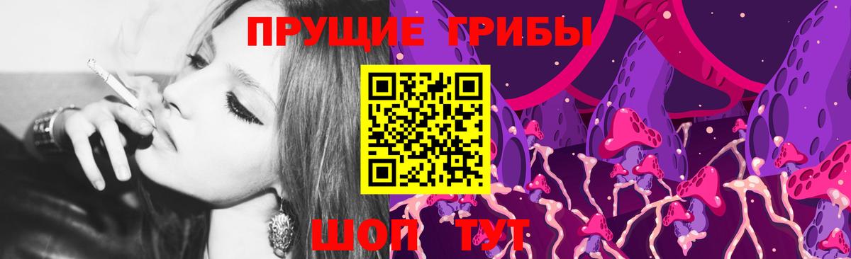 Галлюциногенные грибы Psilocybe Губаха
